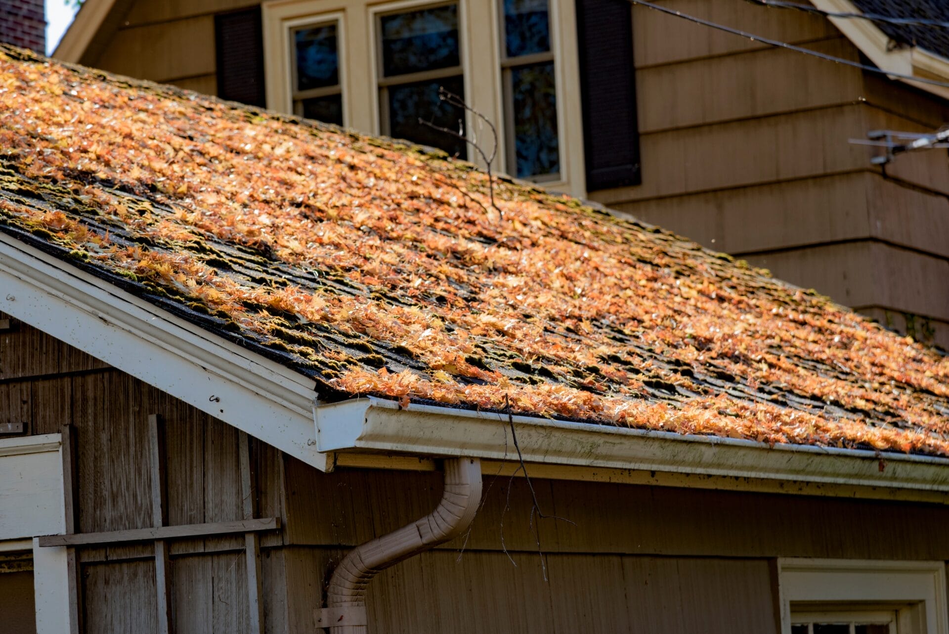 spring roof problems, spring roof damage, spring weather damage, Baltimore